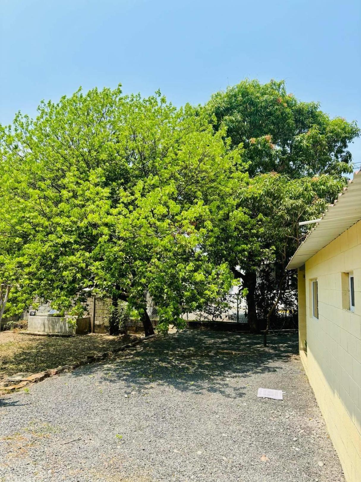 Hostal Camila'S Tamanique Bagian luar foto